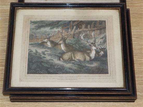 After Samuel Howitt (1765-1822), four coloured engravings, Studies of spaniels, stag hounds, deer and